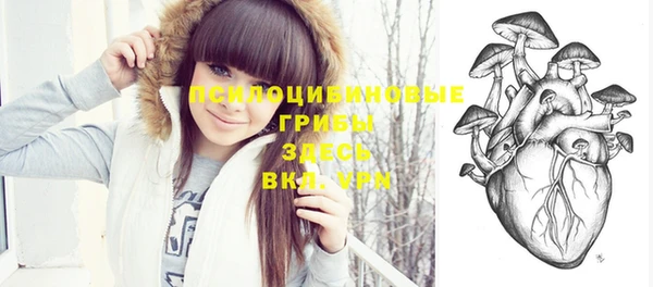 молекула духа Балахна