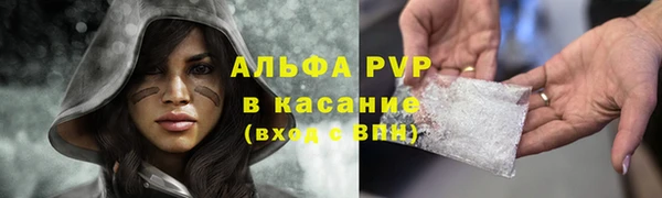 молекула духа Балахна