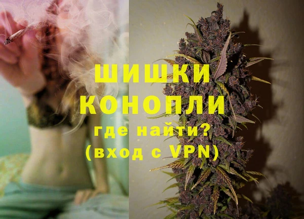 молекула духа Балахна