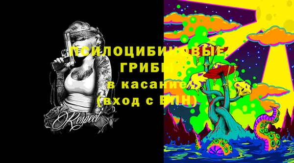 молекула духа Балахна